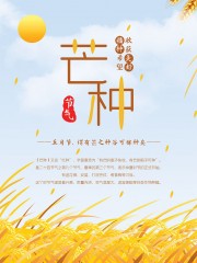 二十四节气芒种唯美海报