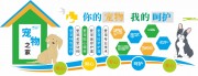 宠物之家文化墙图片