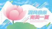 手绘荷花夏季夏天展板