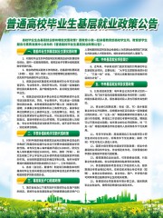 高校毕业生基层就业政策公告素材
