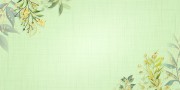 花朵花卉清新背景