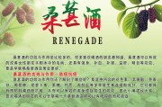 桑葚酒海报图片