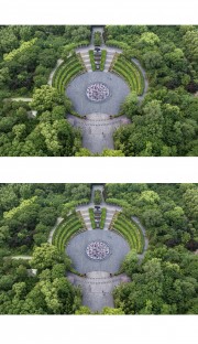 济南森林公园图片