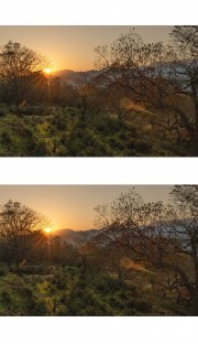 夕照秋天树林景色