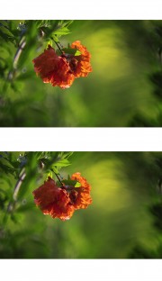 �ذ�ʯ��ͼƬ