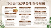 夏季三伏贴养生展板