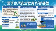 夏季台风安全教育科普展板