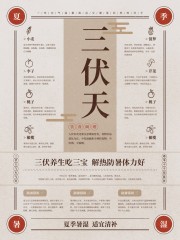 夏季三伏天养生海报