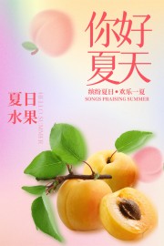 夏日水果杏子促销海报图片下载