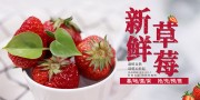 草莓新鲜水果展板