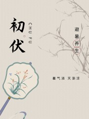 初伏避暑养生海报