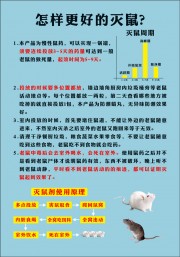 灭鼠知识宣传海报