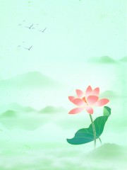 中国风荷叶背景图片素材