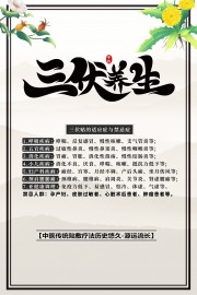 三伏贴中医养生宣传海报