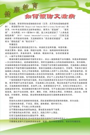如何预防艾滋病健康科普展板模板