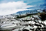 梯田风景图片素材