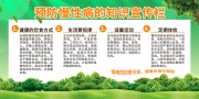 预防慢性病知识展板