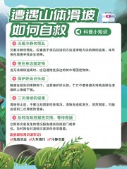 山体滑坡自救科普海报图片