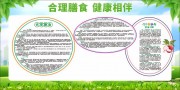 合理膳食健康科普展板下载