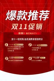 爆款推荐双十一促销海报