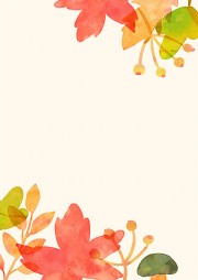 ��Ҷ��������ͼƬ