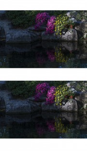济南泉池图片素材