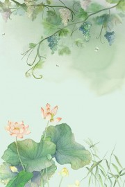 �����⾳�й��米��
