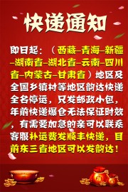 春节期间快递发货通知海报图片