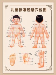 儿童标准经络穴位图挂图图片