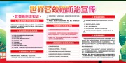 世界宫颈癌日防治宣传栏