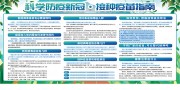 手绘清新科学防疫宣传栏