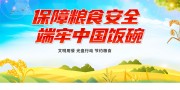 保障粮食安全端牢中国饭碗宣传标语图片素材