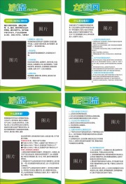 预防自然灾害宣传挂图模板