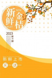 创意金桔水果海报