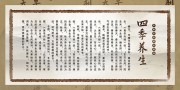 中国风四季养生展板图片素材