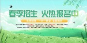 小清新春季招生展板
