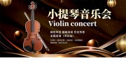 黑金风小提琴音乐会背景板