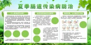 清新绿色夏季肠道传染病防治展板