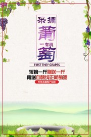 有机葡萄采摘海报
