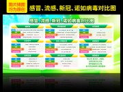 感冒流感新冠诺如病毒对比图