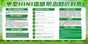 甲型H1N1流感防治知识展板