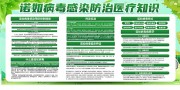 ��ɫ����ŵ�粡����Ⱦ����֪ʶ������