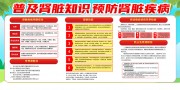 预防肾脏疾病知识宣传栏