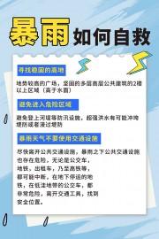 蓝色简约暴雨来袭自救小提示海报