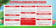世界防治结核病日宣传栏