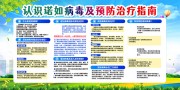 诺如病毒预防治疗指南展板