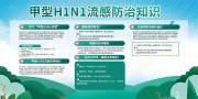 甲流H1N1流感防治知识宣传栏模板