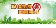 绿色清新珍惜生命远离毒品禁毒展板