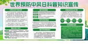 世界预防中风日健康科普宣传栏图片