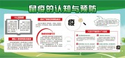 鼠疫的认知与预防展板